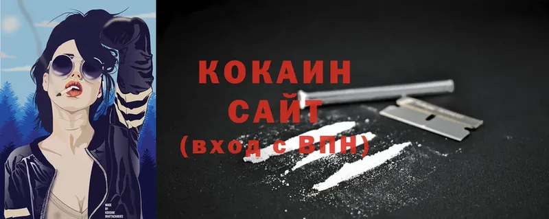 COCAIN Боливия Сыктывкар