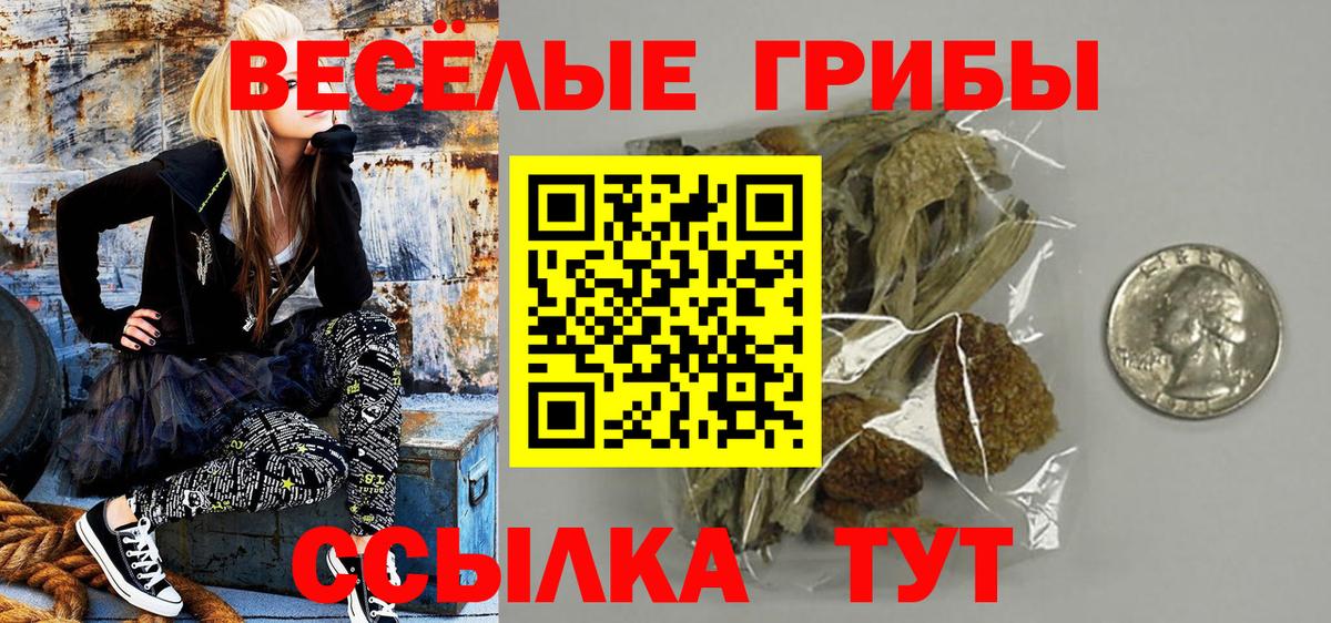 Сыктывкар  Псилоцибиновые грибы Psilocybine cubensis  Вход с VPN 